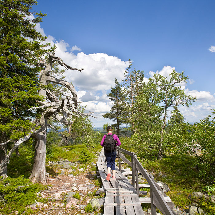 Hiking up Lampivaara fell to the Amethyst Mine in Luosto near Rovaniemi, Lapland, Finland