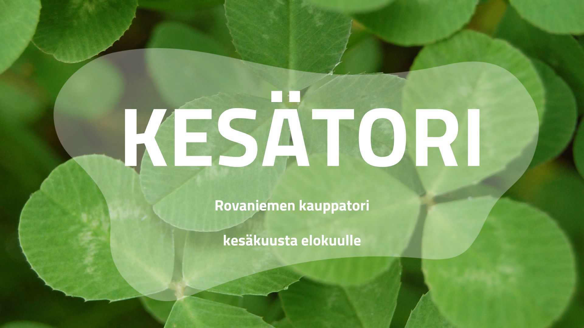 Apiloita ja päällä teksti: Kesätori.