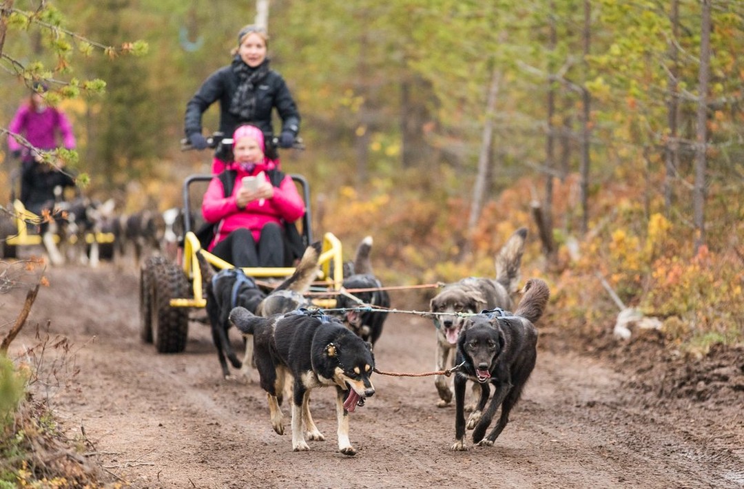 Psst..If you happen to be in Rovaniemi today, @bearhillhusky has open doors today at 9.30am–3.30pm! Get to know the life of huskies and their mushers, enjoy coffee and lunch 🐕‍🦺🐕‍🦺🐕‍🦺

#rovaniemi #visitrovaniemi #rovaniemiviikko #huskylove