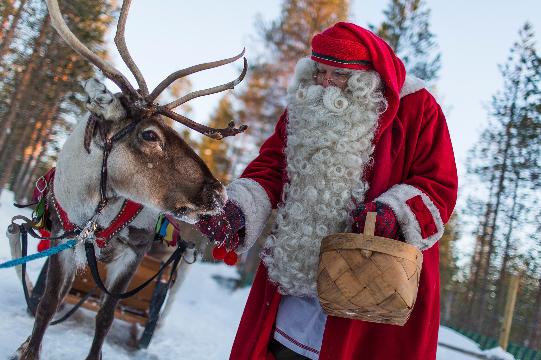 A month from now another exciting Live Stream will be available! The 23th of December Santa Claus will start his annual journey from Arctic Circle and travels across the world. You can join the free event at the Santa Claus Village or via Live Stream. Stay tuned.... @santaclausoffice @santaclausreindeer #visitrovaniemi #rovaniemichristmas #santaclaus #christmas #VisitFinland #lapland #santaclausisonhisway