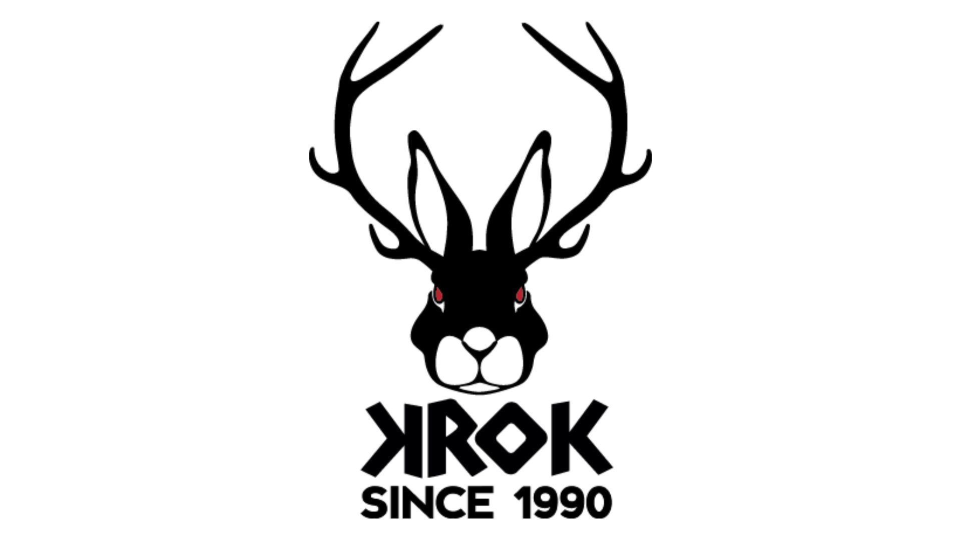 Kirjastorokki - tapahtuman kuva