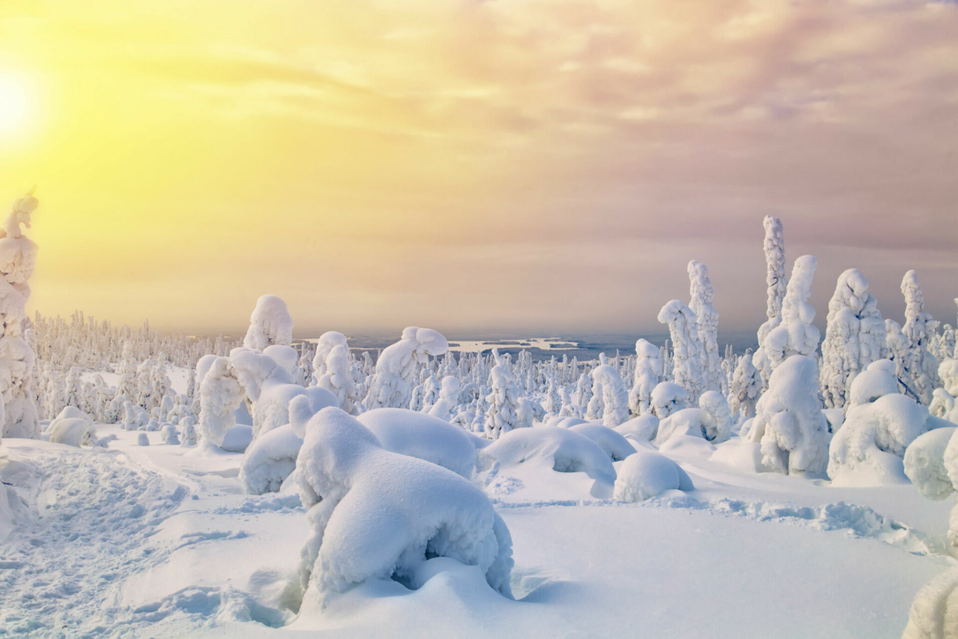magical-winter-on-the-arctic-circle-in-rovaniemi-visit-rovaniemi
