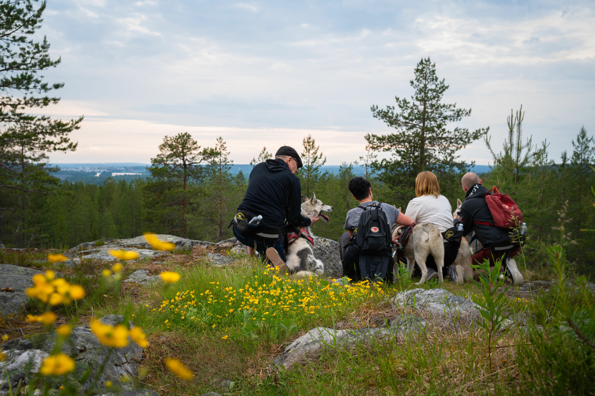 Midnight Sun Tours in 24 Hour Light - Visit Rovaniemi