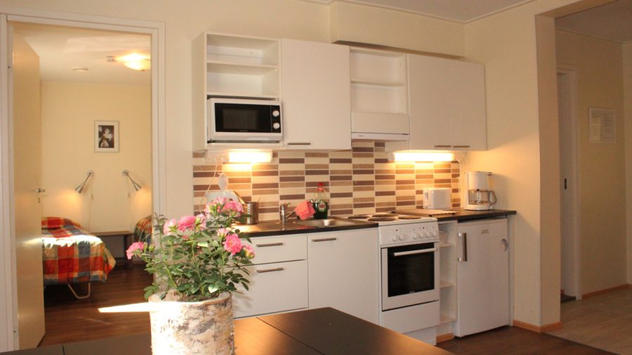 Apartment Kokki