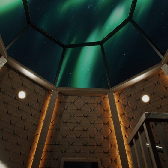 Apukka Resort Rovaniemi Lapland Finland Kammi Suite view from bed