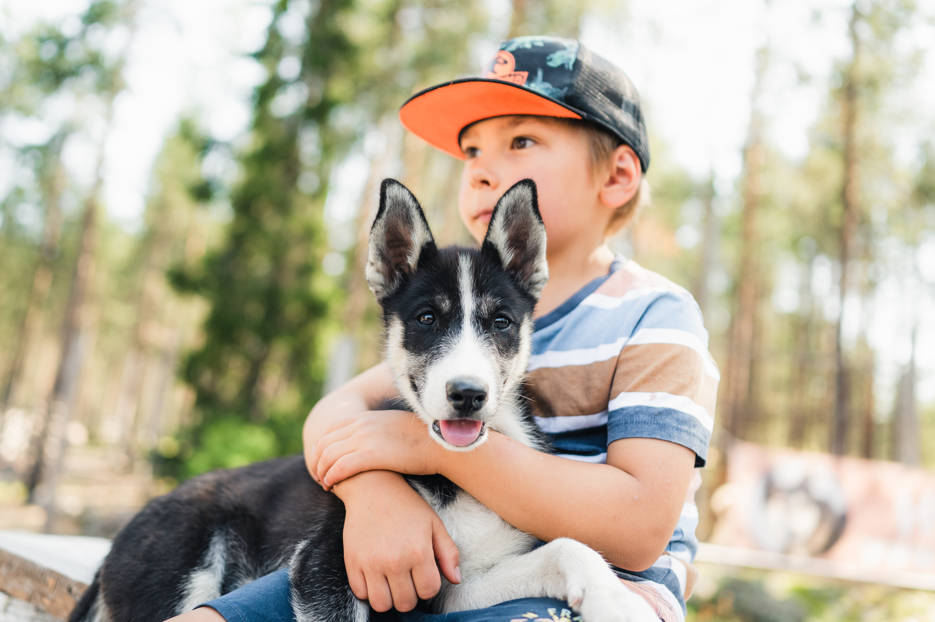 Ihmiset vierailulla Arctic Circle Husky Parkissa Joulupukin Pajakylässä, Rovaniemellä.