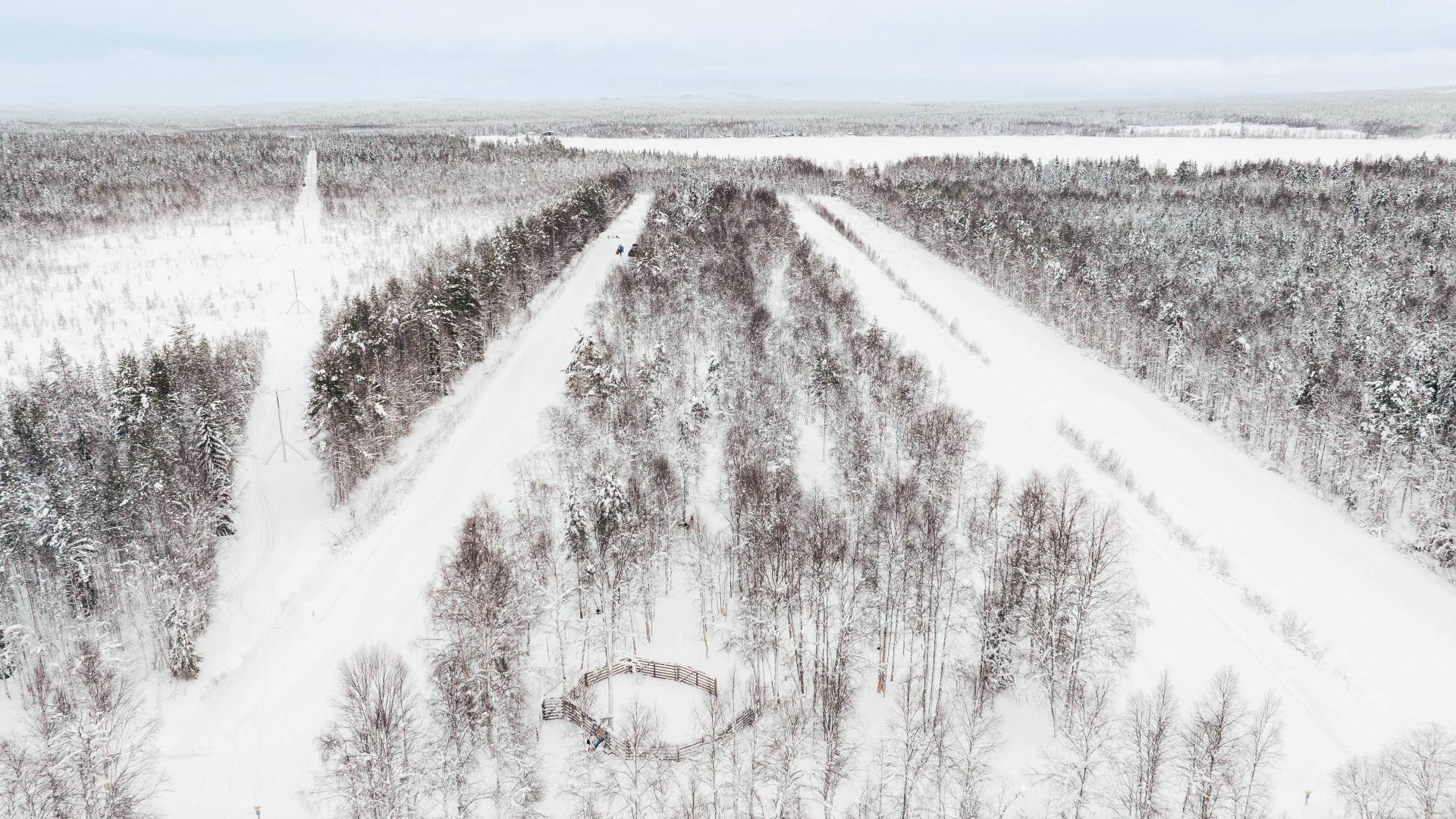 Panorama view of Arctic Park winter forest in Rovaniemi, Lapland, Finland