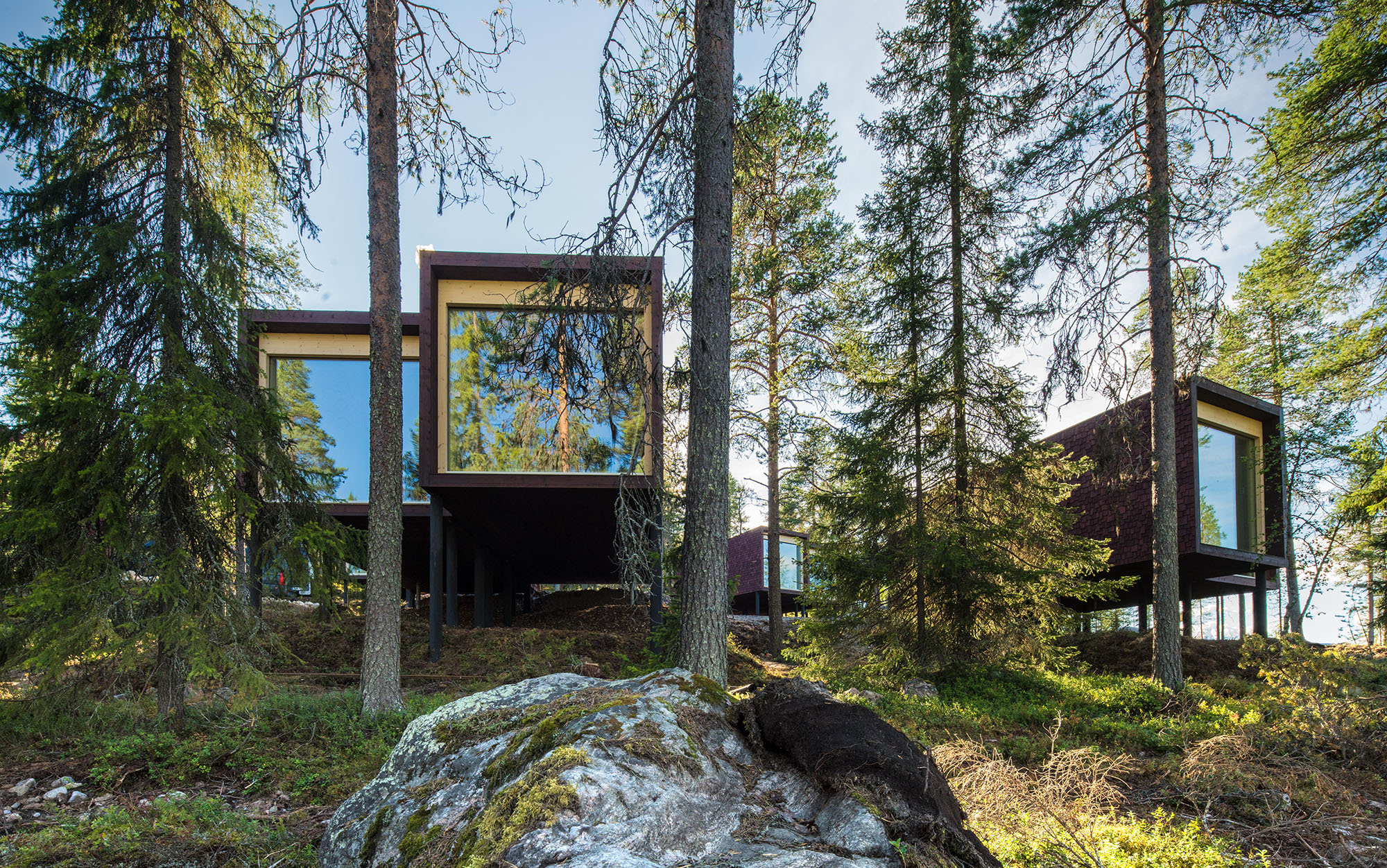 Arctic TreeHouse Hotel suites summer in Rovaniemi, Lapland, Finland