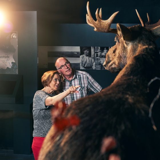 Pariskunta Arktikum museo ja tiedekeskus Rovaniemi Lappi