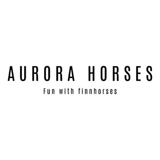 Aurora Horses, Rovaniemi, Lapland, Finland