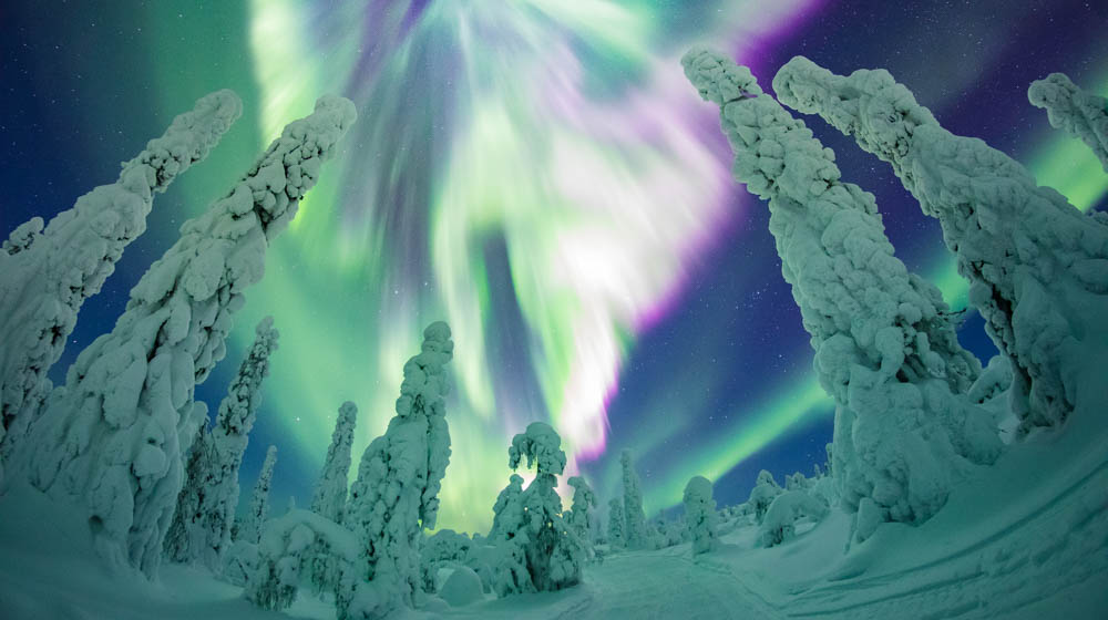 Amazing northern lights winter Ylläs Lapland Finland. Photo by