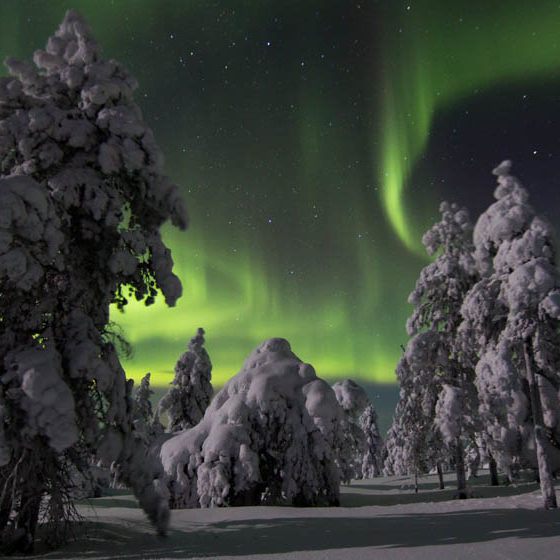 Auroras with Luxury Action, Rovaniemi, Lapland, Finland