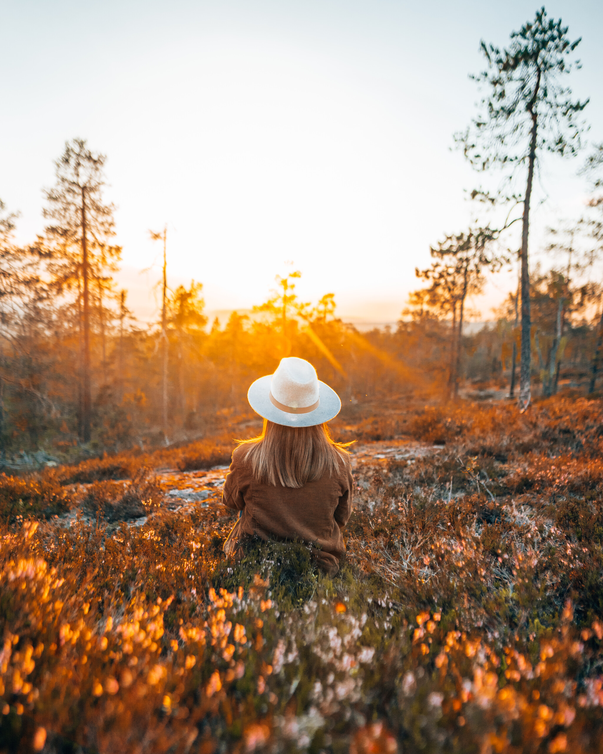 Nainen ruskaisessa maisemassa auringonlaskun aikaan Rovaniemellä, Lapissa.