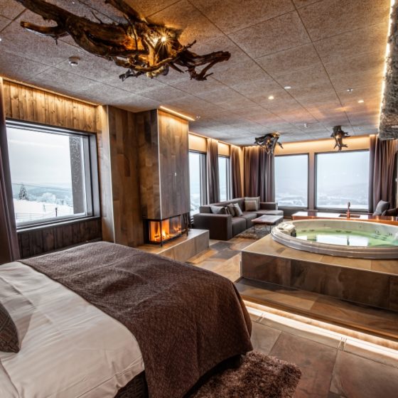 Bear cave suite, Hotel Iso-Syote, Arctic Hilltop Boutique Hotel, Lapland, Finland