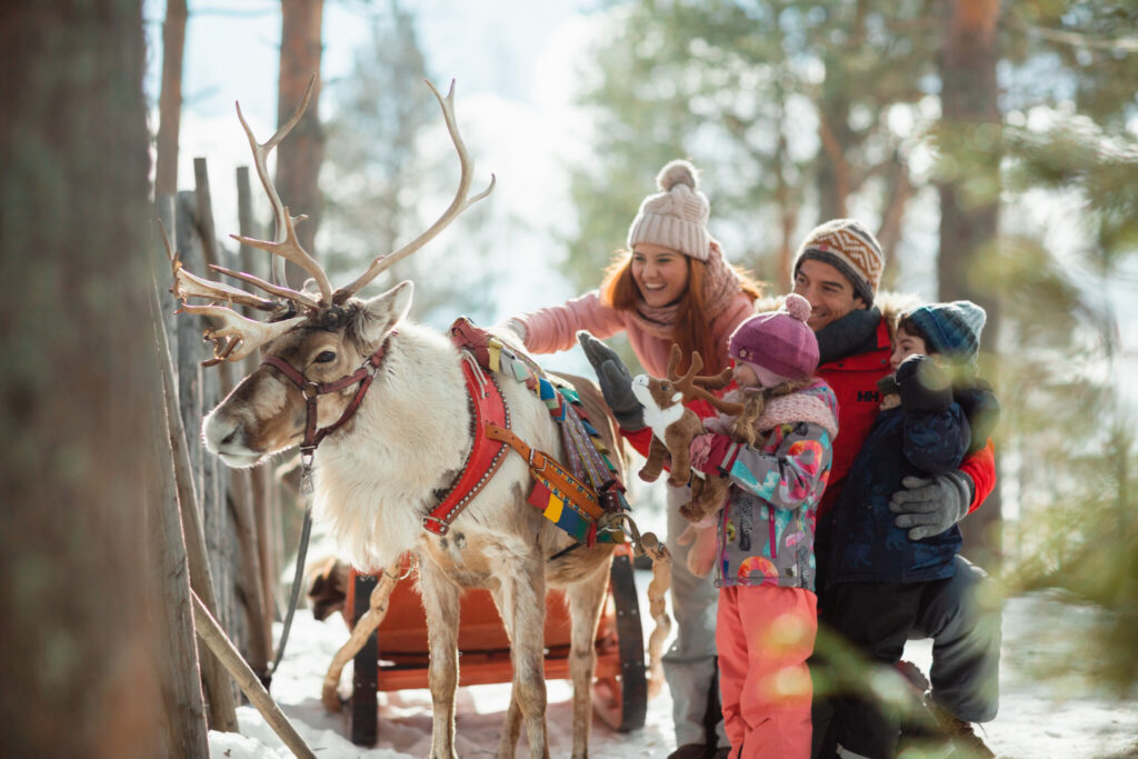 Changed By Rovaniemi Santa Claus Reindeer, Rovaniemi, Lapland, Finland