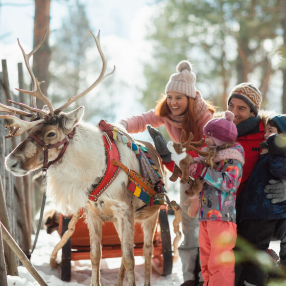Changed By Rovaniemi Santa Claus Reindeer, Rovaniemi, Lapland, Finland