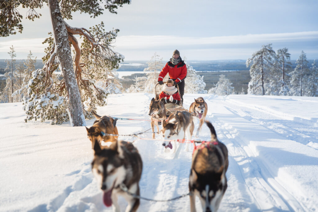 Changed By Rovaniemi Winter Husky ride Rovaniemi Lapland Finland