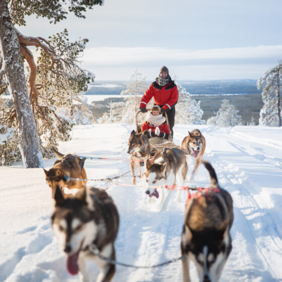 Changed By Rovaniemi Winter Husky ride Rovaniemi Lapland Finland