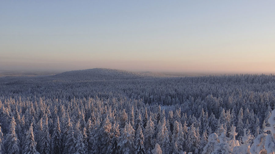 Ounasvaaran talvikävelyreitti on ympärivuotisesti käytössä ja sijaitsee lähimmillään noin 1,6 kilometriä Rovaniemen keskustasta itään. Päiväretkikohteena Ounasvaara on ihanteellinen sen helpon saavutettavuuden takia. Ounasvaara on ympärivuotinen virkistysalue lähellä Rovaniemen keskustaa.