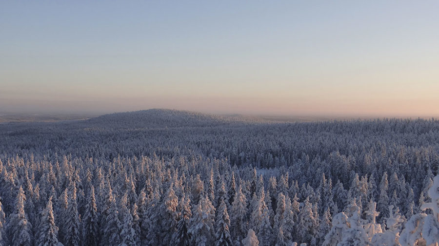 Ounasvaaran talvikävelyreitti on ympärivuotisesti käytössä ja sijaitsee lähimmillään noin 1,6 kilometriä Rovaniemen keskustasta itään. Päiväretkikohteena Ounasvaara on ihanteellinen sen helpon saavutettavuuden takia. Ounasvaara on ympärivuotinen virkistysalue lähellä Rovaniemen keskustaa.