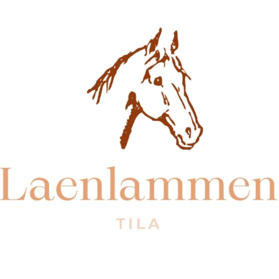 Horse riding Laenlammen tila, Rovaniemi, Lapland, Finland