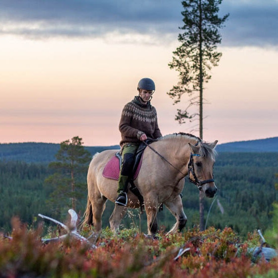 Horseback riding, Laenlammen tila horse farm, Rovaniemi, Lapland, Finland