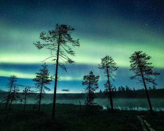 Husky-ride-under-the-Northern-Lights-Apukka-Resort-Rovaniemi.