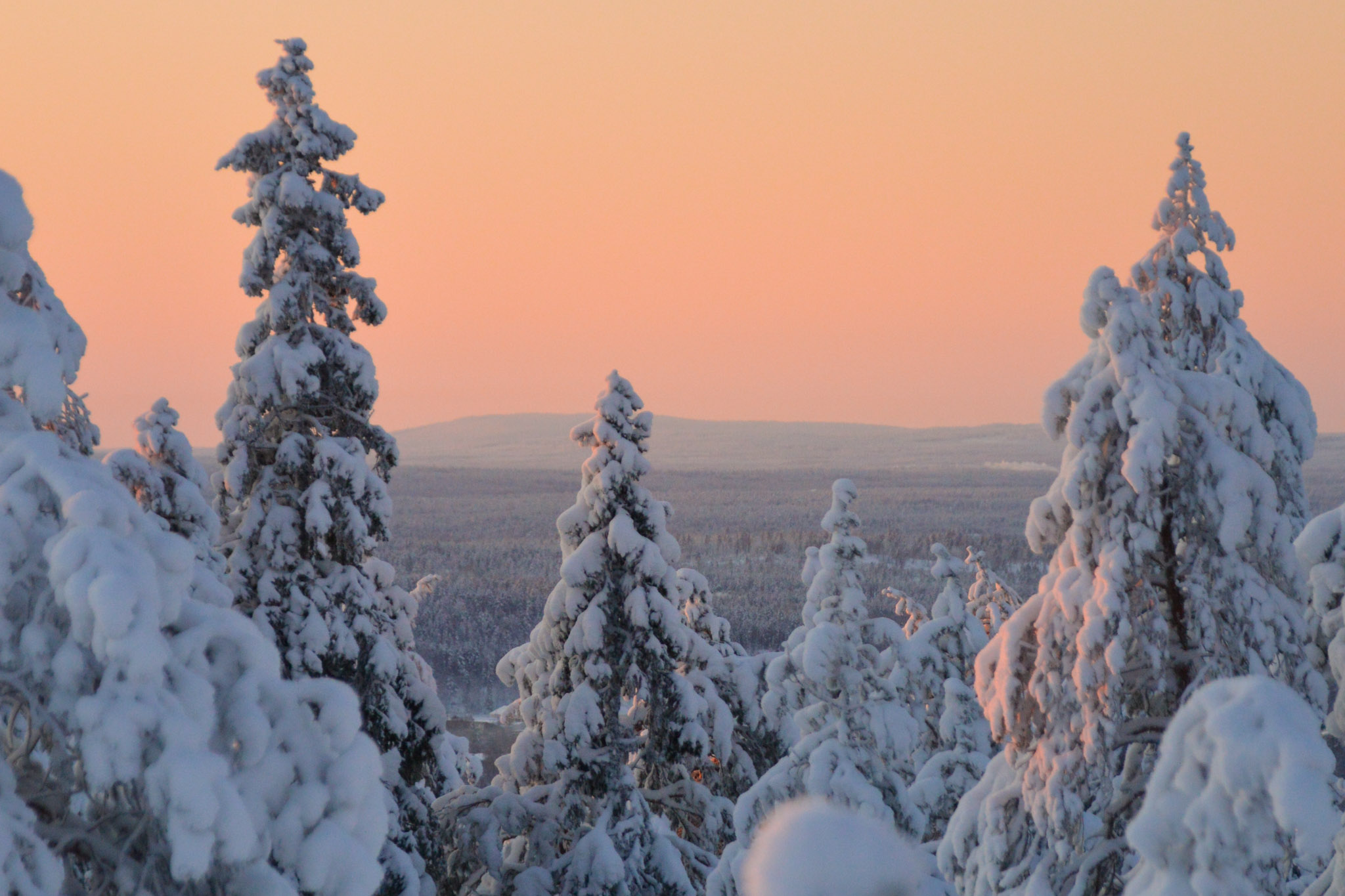 Kaamos Polar Night Visit Rovaniemi Winter Wonderland