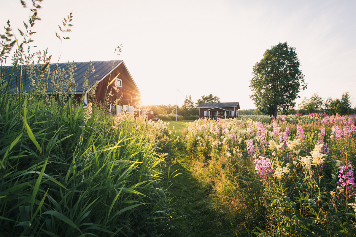 Kotisaari Island Midnight Sun Josh Shephard, The Lost Passport