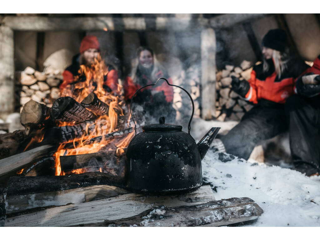 Lapland Safaris Kota