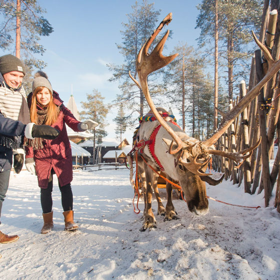 A couple meeting a reindeer in Santa Claus Village in Rovaniemi, Lapland, Finland