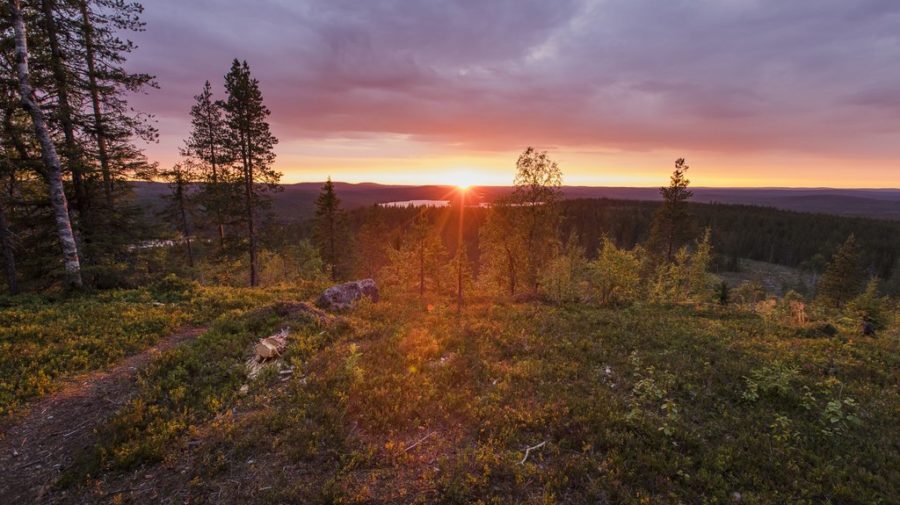 Ympärivuotinen virkistysalue lähellä Rovaniemen keskustaa. Ounasvaaralla on merkittyä ja huollettua reitistöä sekä lukuisia hyviä maisemapaikkoja.