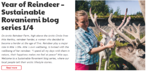 Sustainable Rovaniemi blog series Miia Merkku Year of reindeer