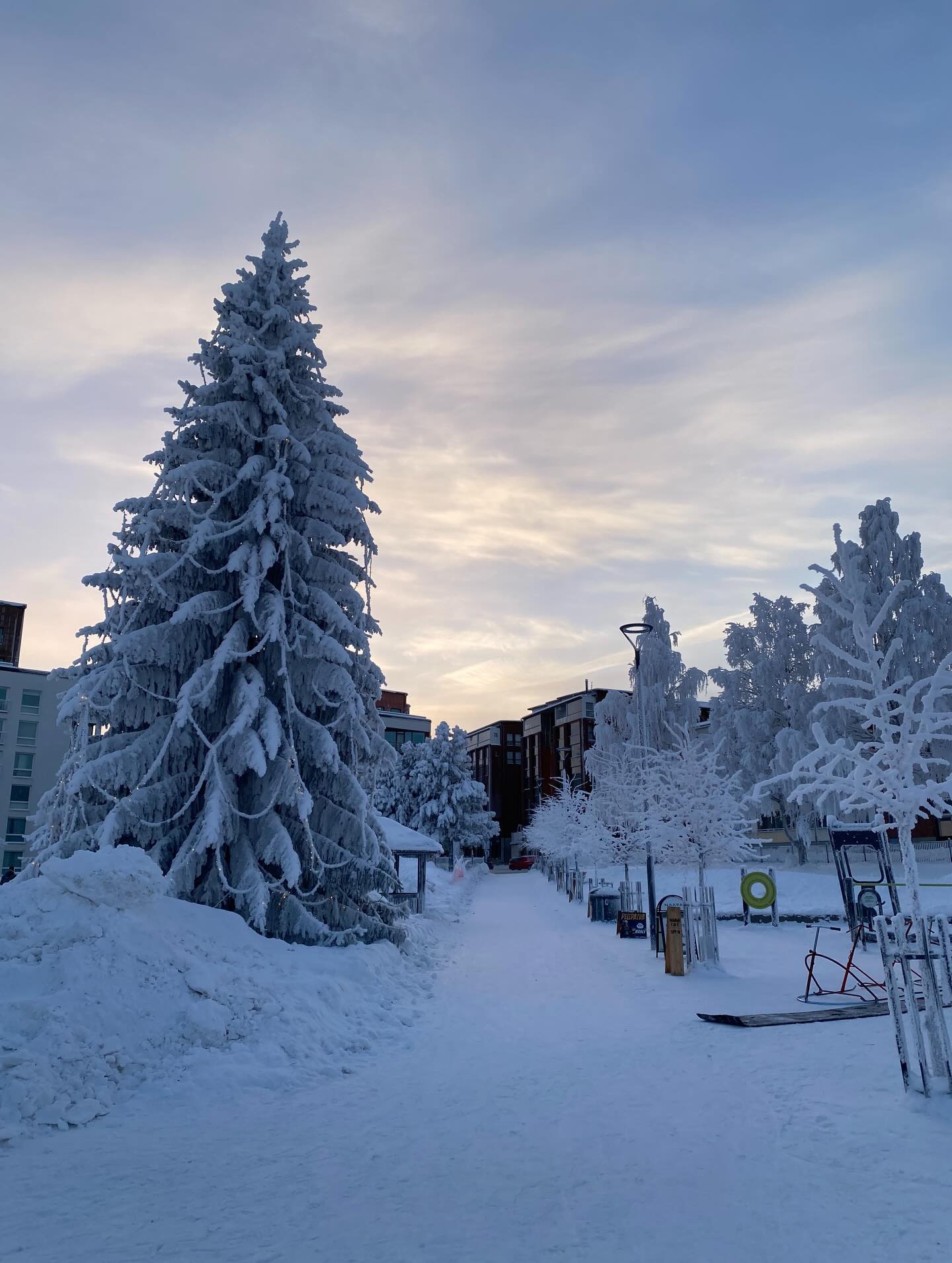 Luminen puistomaisema Naava Cafen vierestä.