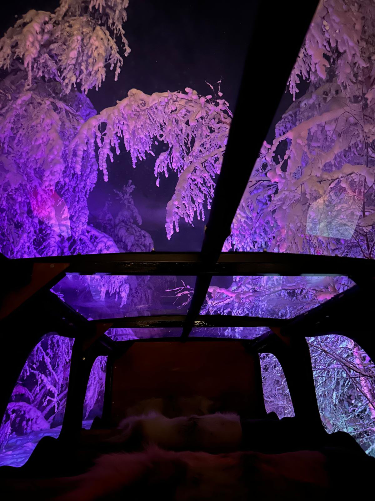 Snowy landscape illuminated by purple lights viewed from inside of a sledge by Northern Adventures.