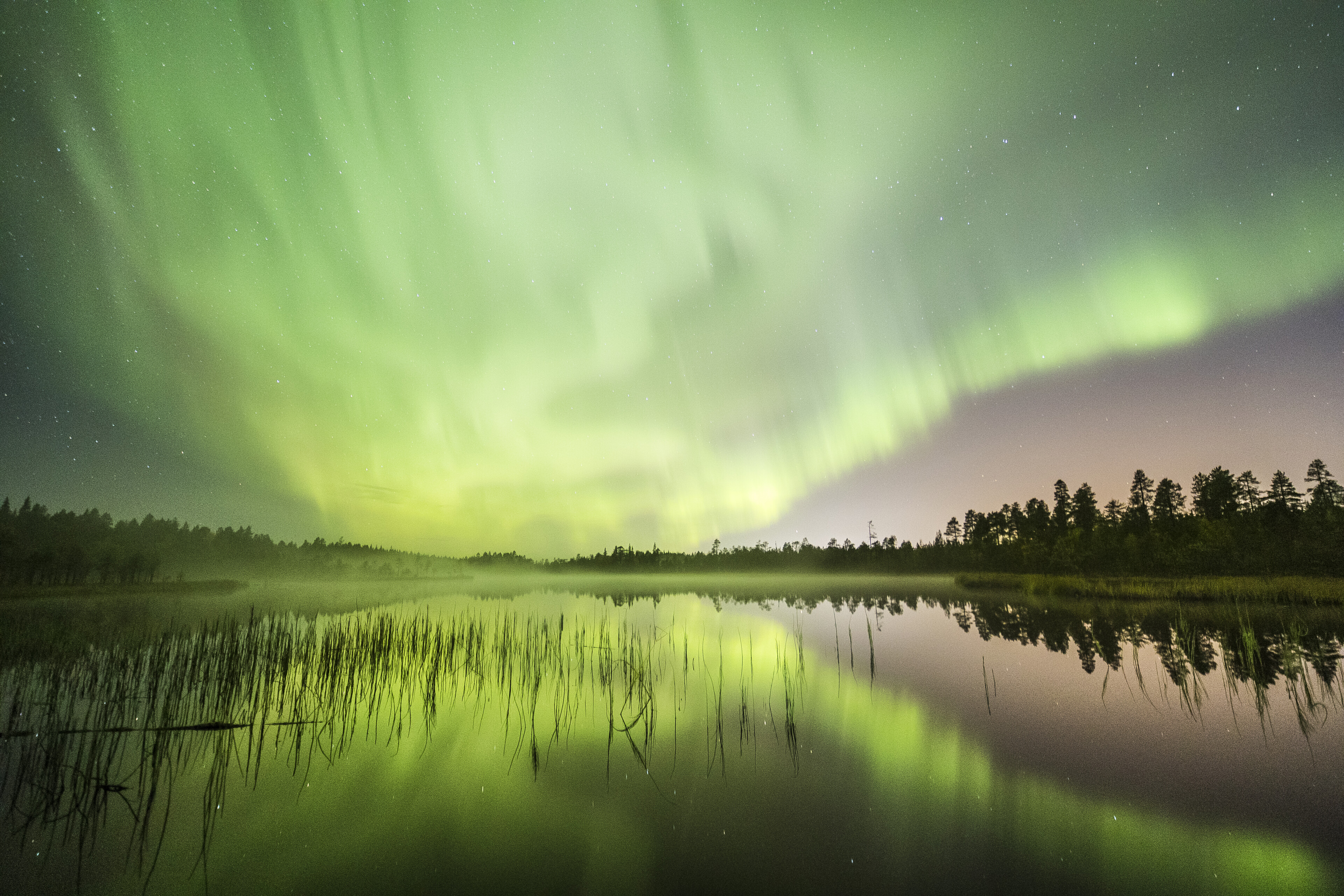 Revontulet tanssivat taivaalla syksyisessä maisemassa Rovaniemellä, Lapissa.