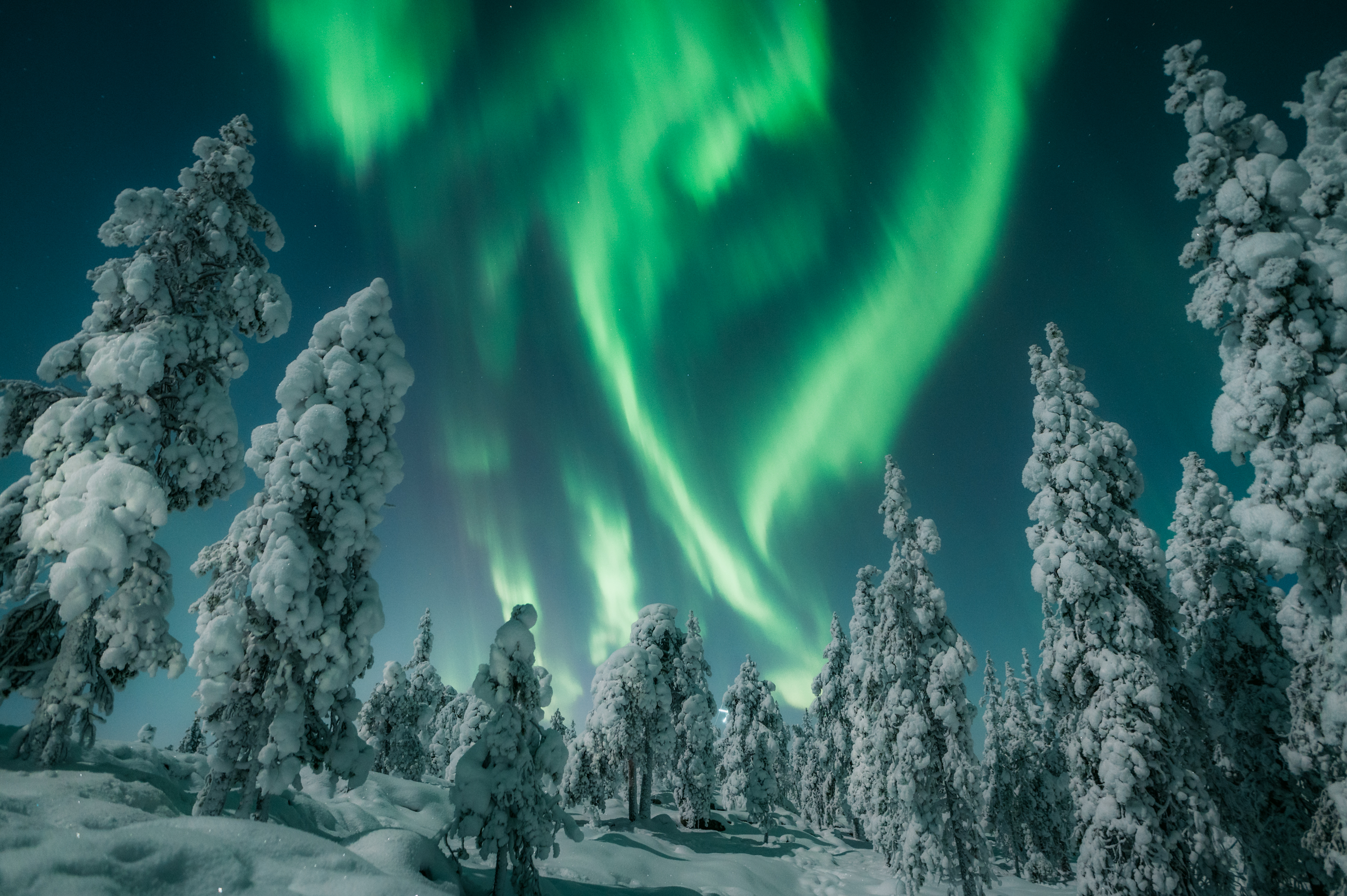 Revontulet tanssivat taivaalla talvella lumisessa maisemassa Rovaniemellä, Lapissa.