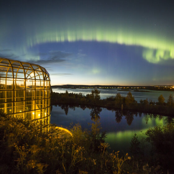 Visit Rovaniemi Arktikum and Northern Lights