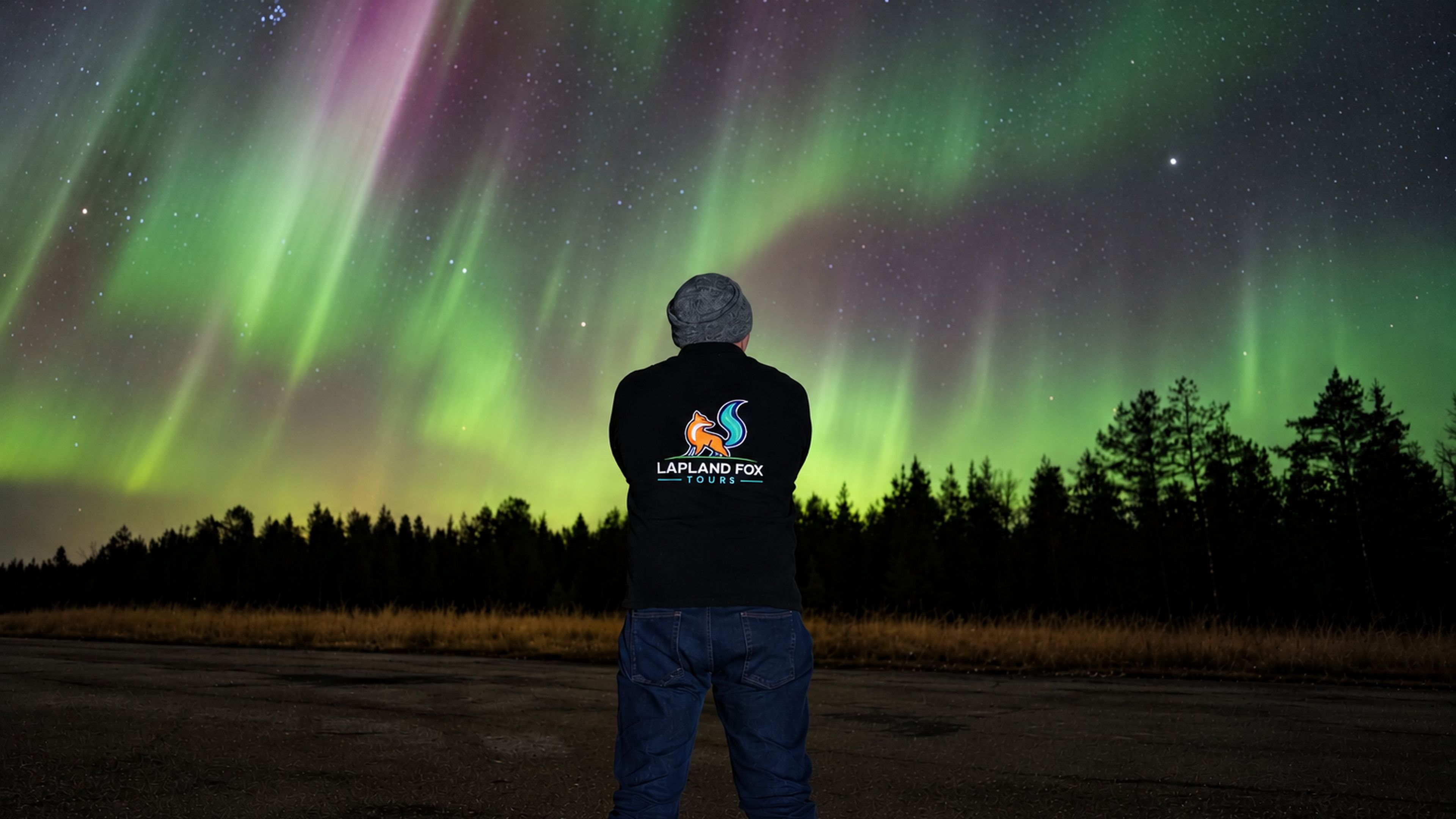 Person admiring vibrant northern lights, Lapland Fox tours, Rovaniemi, Lapland, Finland