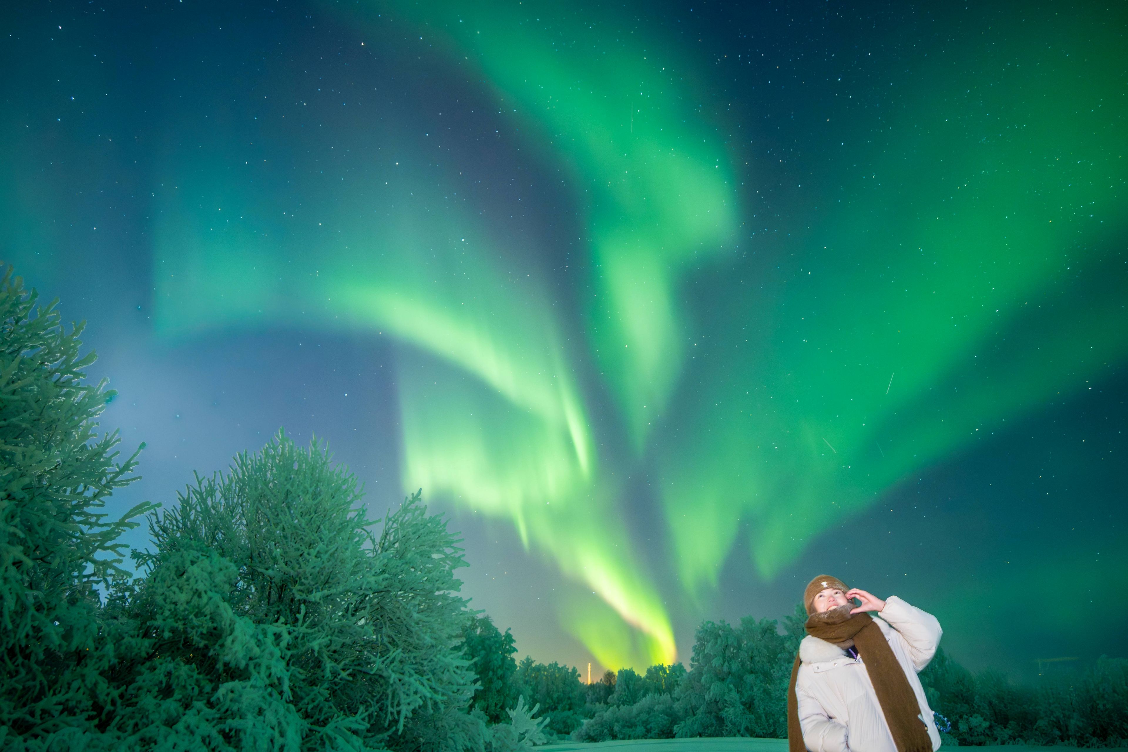 A person admiring the Northern Lights in a snowy winter landscape.