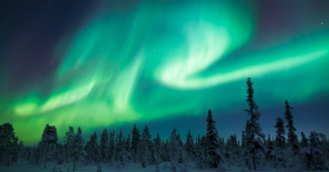 Northern lights dancing during winter in Aurora Horses safari in Rovaniemi, Lapland, Finland