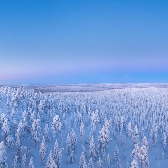 Octola-opens-Arctic-regions-first-luxury-Spa-and-Health-Clinic-Rovaniemi-Lapland-Finland-