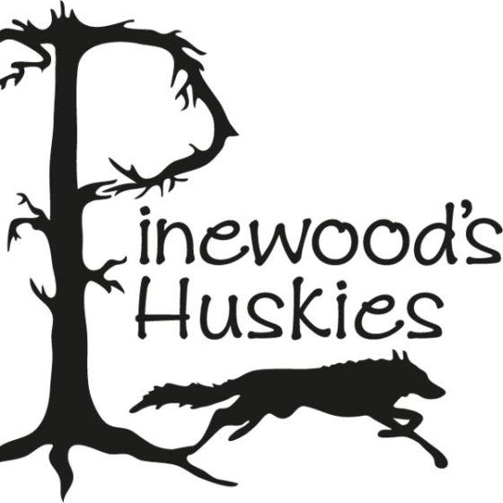 Pinewood's Huskies in Rovaniemi, Lapland, Finland
