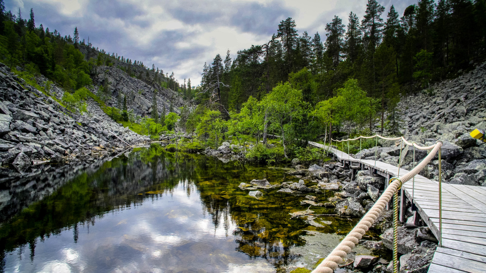 Pyhä-Luosto National Park