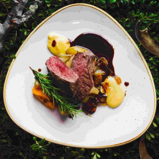 Reindeer roast, Arctic Restaurant, Arctic Light Hotel, Rovaniemi, Lapland, Finland