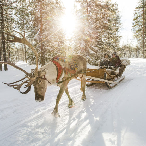 Reindeer-sleigh-ride-Santa-Claus-Village-Rovaniemi-Lapland