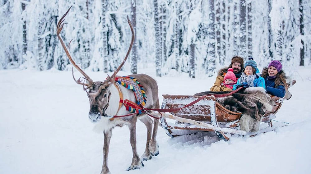 Reindeer sleigh ride with Nordic Unique Travels, Rovaniemi, Lapland, Finland