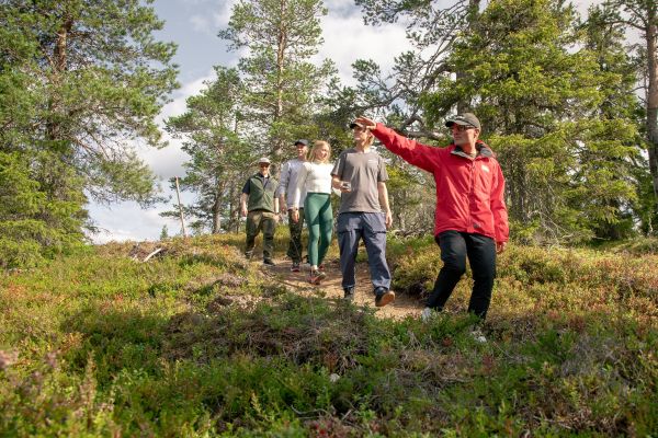 people following the guide in the nature in summer