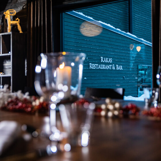 Artic Treehouse Hotel, Salarakas meeting room, Rovaniemi, Lapland, Finland