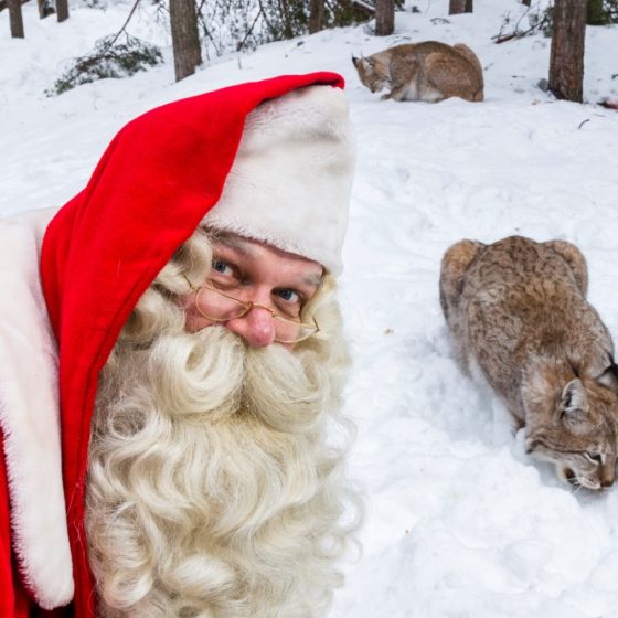 Santa Claus visiting Ranua Wildlife Park, Lapland, Finland
